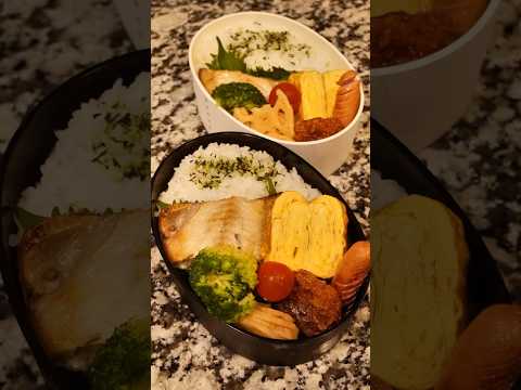【お弁当作り】焼き魚でしっかり和弁当  #Shorts #お弁当 #obento