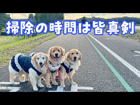 掃除機の時間は皆真剣