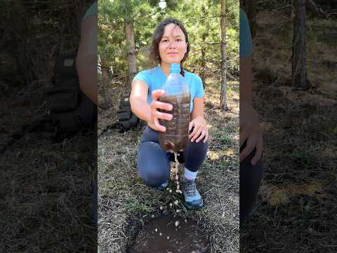 The Most Genius Survival Water Filter ๐ชต๐ง#camping #survival #bushcraft #outdoors