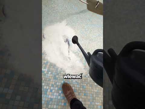 Genialny Sposób Na Wyczyszczenie Basenu…🤯