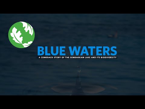 Sembakkam Biodiversity   Blue Waters