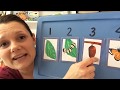 Butterfly Life Cycle Concepts
