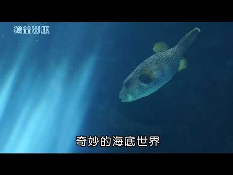 墾丁國家公園-Youtube