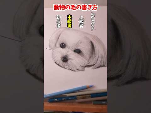 レベル別動物の毛の描き方 #イラスト #shorts