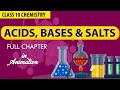 Acids, Bases, and Their Reactions
