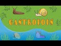 Gastropod Characteristics and Adaptations