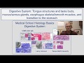 Digestive System Histology and Functions