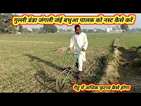 गुल्ली डंडा जंगली जंई बथुआ पालक को नस्ट कैसे करें | INDIANTRACTORNARESH