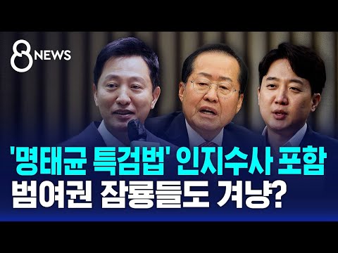 '명태균 특검법' 인지수사 포함…범여권 잠룡들도 겨냥? / SBS 8뉴스