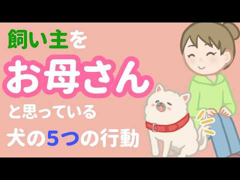 全部当てはまったら、あなたは愛犬に「ママ認定」されています！