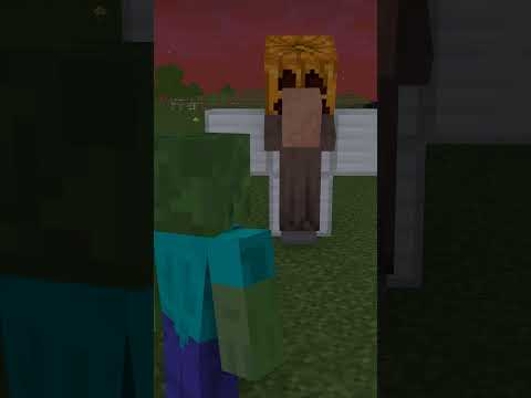 ゾンビは村人を助けた #minecraft #animation