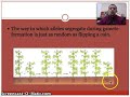 Genetics Concepts and Mendelian Principles