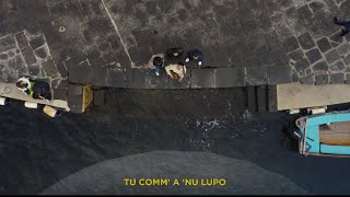Dario Cuomo - Comm’ a ‘nu lupo (Lyric Video)
