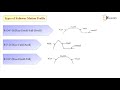Motion Profiles and Phases in Mechanics