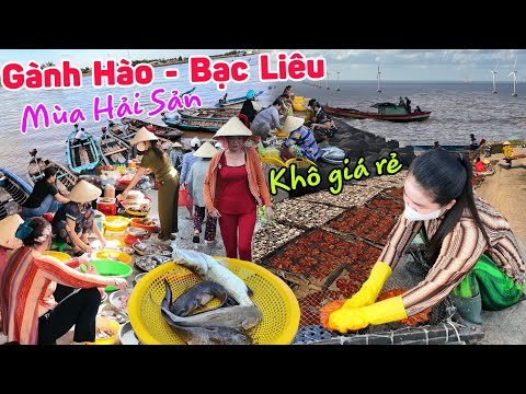 Chợ cửa biển lớn nhất Gành Hào Bạc Liêu mùa hải sản giá rẻ