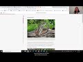 Decomposers and Their Ecosystem Roles