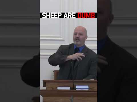 Sheep Are Dumb - Pastor Patrick Hines Sermon #shorts #christianshorts #GodsWord #JesusChrist #Jesus