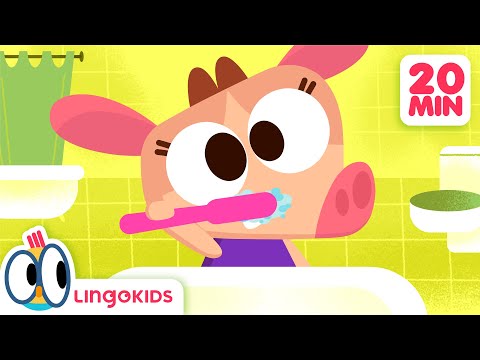 Dance with DAILY ROUTINES FOR KIDS 🧼 + More Songs for Kids | Lingokids