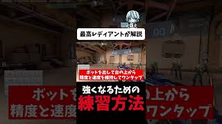 ヴァロラント強くなるためのエイム練習は1つじゃなくてたくさんの種類で！やればやるほど良いです！（本編はコメント欄から）　#valorant 