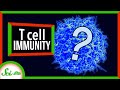 Understanding T-Cell Immunity and COVID-19