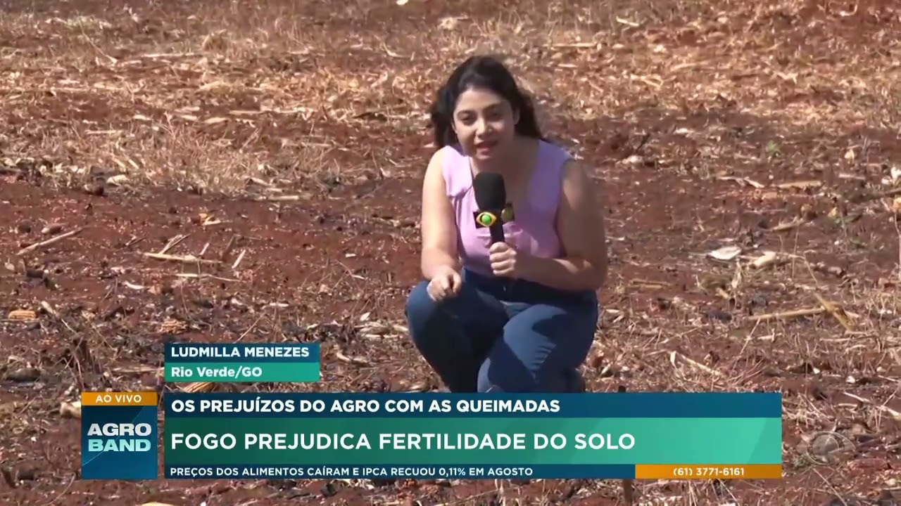 Queimadas fogo prejudica fertilidade do solo