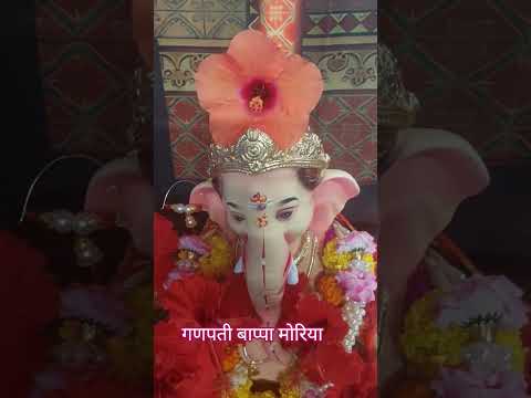 गणपती बाप्पा मोरिया#hinduguru #swamisamarthamajhiaai #love #marathi