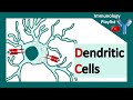 Dendritic Cells and T-Cell Activation