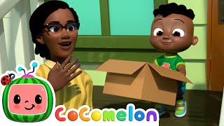 Cody's Favourite Box | It's Cody Time 🍉 | CoComelon Songs for Kids & Nursery Rhymes