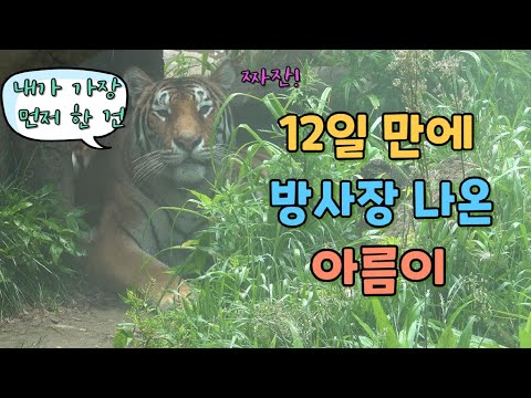 아름아 대견해♥ 송곳니 다치고 12일 만에 첫 출근한 아름이의 하루! 대장 주키퍼님께 들은 향후 치료 계획