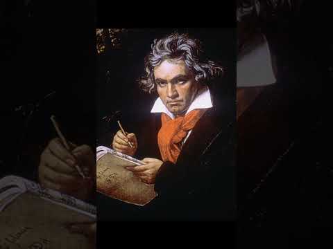 Melhor sensação de todas #guitar #guitarra #guitarmeme #engraçado #instrumentos #guitarrista