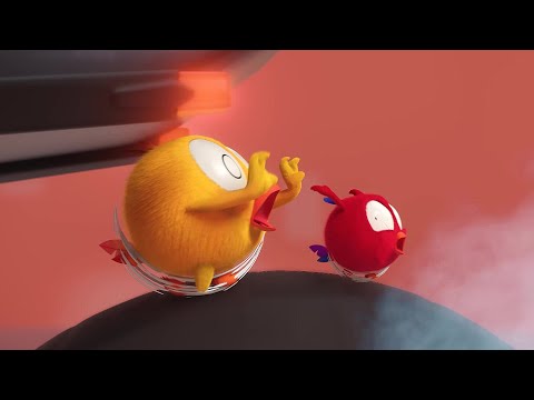 The Race Bike | Where's Chicky? | Cartoon Collection in English for Kids | New episodes HD