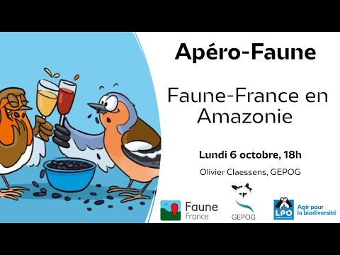 Apéro-Faune #18 : Faune-France en Amazonie - découvrir le site miroir Faune-Guyane
