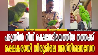 പരുന്തില്‍ നിന്ന് രക്ഷതേടിയെത്തിയ തത്തക്ക് രക്ഷകരായി തിരൂരിലെ അഗ്‌നിശമനസേന | Malayalam News