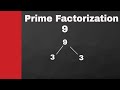 Prime Factorization and Prime Numbers