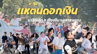 ลายแห่ม่วนๆ รถแห่หลิวเหล่าซือ บ.เสือเฒ่า อ.เชียงยืน จ.มหาสารคาม