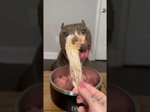 Duck for dinner