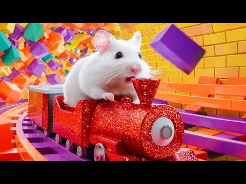 😱 Hamster Escape Maze - Hamster Cute pets Maze #hamsterescape #mazediytraps #478