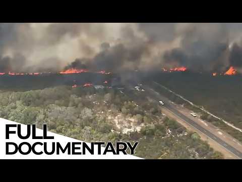Welcome to Hell: Why Is Australia Always on Fire? | Climate Change | ENDEVR Documentary