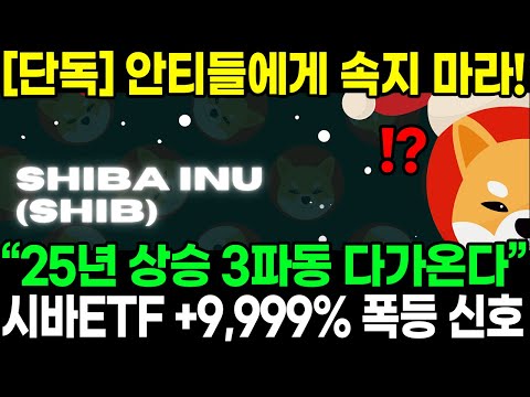 [단독] 안티들에게 속지 마라! “25년 상승 3파동 다가온다” 시바ETF +9,999% 폭등 신호!!