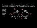 Genotype and Allele Frequency Analysis