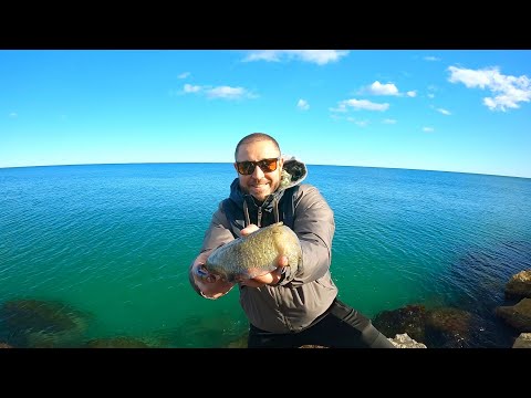 Benzo apprend la Pêche de la Seiche à Théo 🎣🦑 EGING