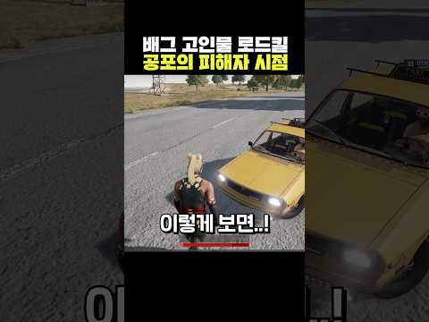 배그 고인물 로드킬 피해자 시점