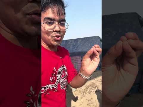 शादी से पहले राशन बटोरने में लगी हुए है #younickviral #trending #viral #trend #humanity