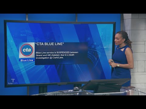 Man dies after falling onto tracks at Loop Blue Line stop