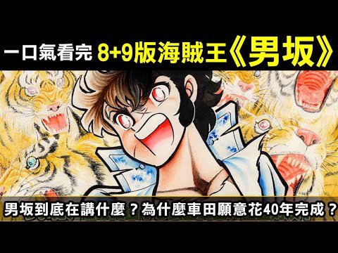 一口氣看完8+9版海賊王【男坂】男坂到底是在講什麼？為什麼車田正美願意花40年來完成？