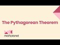 Pythagorean Theorem and Triangle Properties