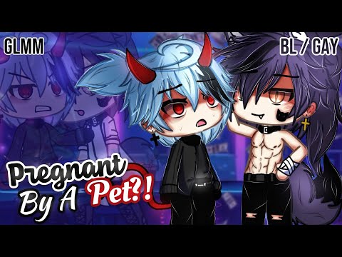 𝑷𝒓𝒆𝒈𝒏𝒂𝒏𝒕 By A 𝐏𝐞𝐭 | BL/GAY | GLMM / GCMM | Gacha Life Mini Movie