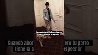 Malos sentimientos sobre el Titanic 🐶 @TheJessiiShow @ElShowDeMannii #TheManniiShow.com/series
