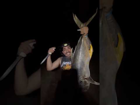 DOES BIG BAIT = BIG FISH⁉️ 🏖️🦈 PT1
