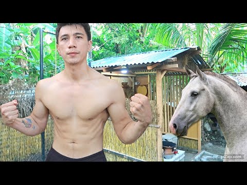 Making Halter and Cooking Eggs in My Tiny Shed